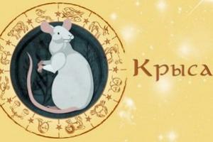 Год Крысы по Восточному гороскопу: какие люди рождаются под этим знаком